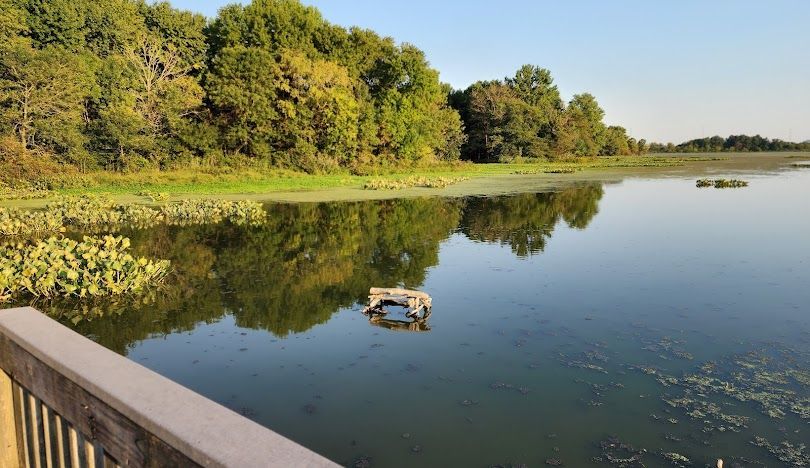 Calm lake with green trees reflected in water, viewed from a bridge railing in the foreground