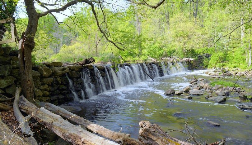 Small waterfall spilling over rocks in a green forest stream, with fallen logs in the foreground.