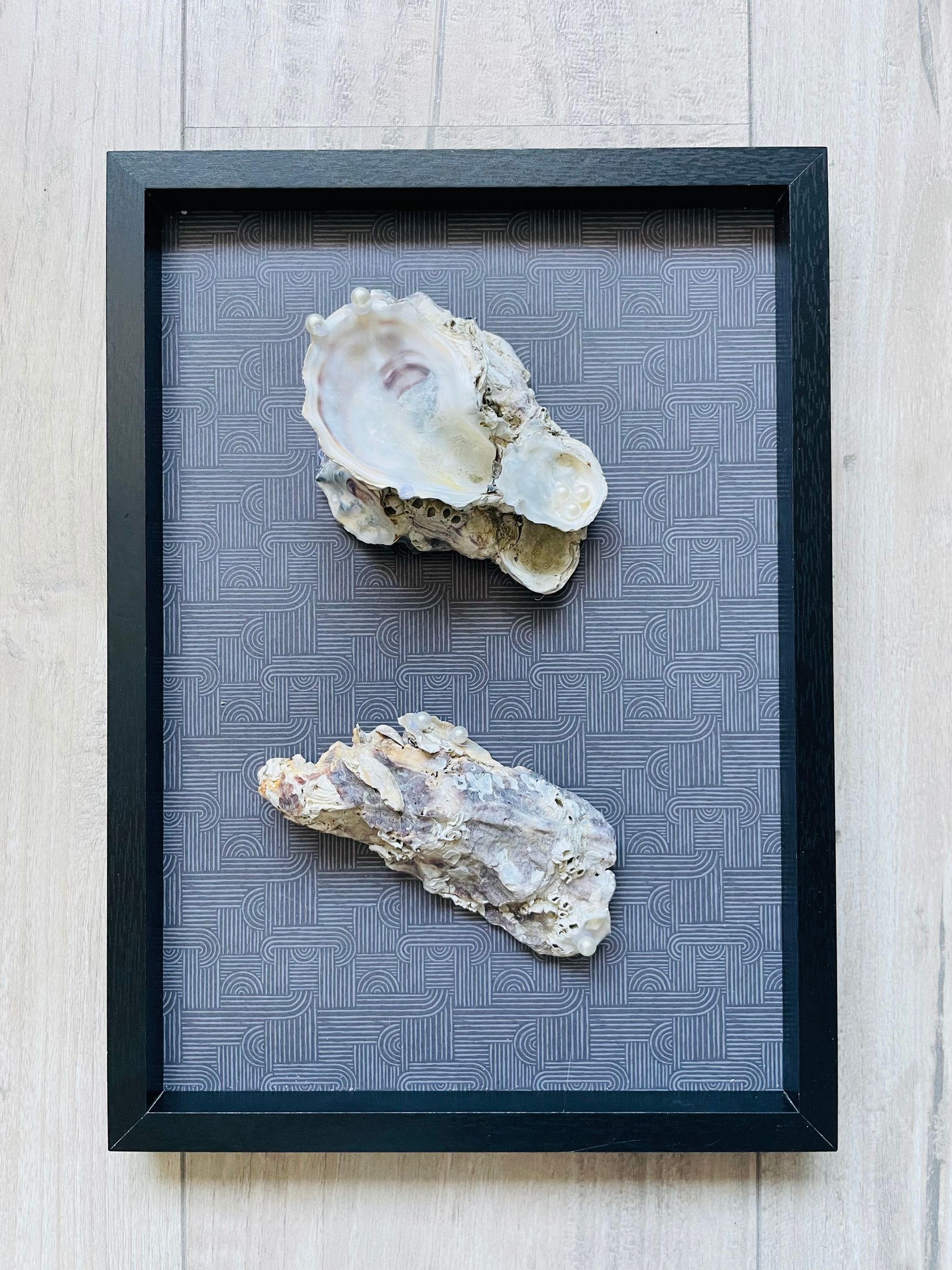 Duo van oesters met parels in zwart frame. Uitverkocht