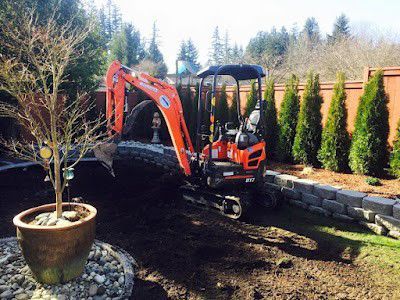Orange mini-excavator digging in a backyard with a tree in a pot and evergreen trees along a fence.