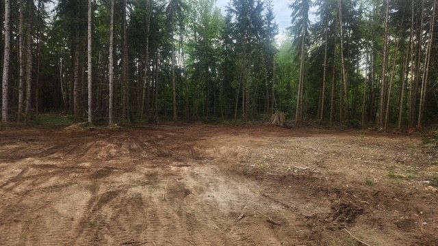 Excavation Site Service Before Arlington WA