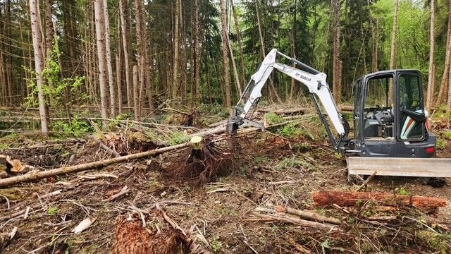 Excavation Site Service After Arlington WA