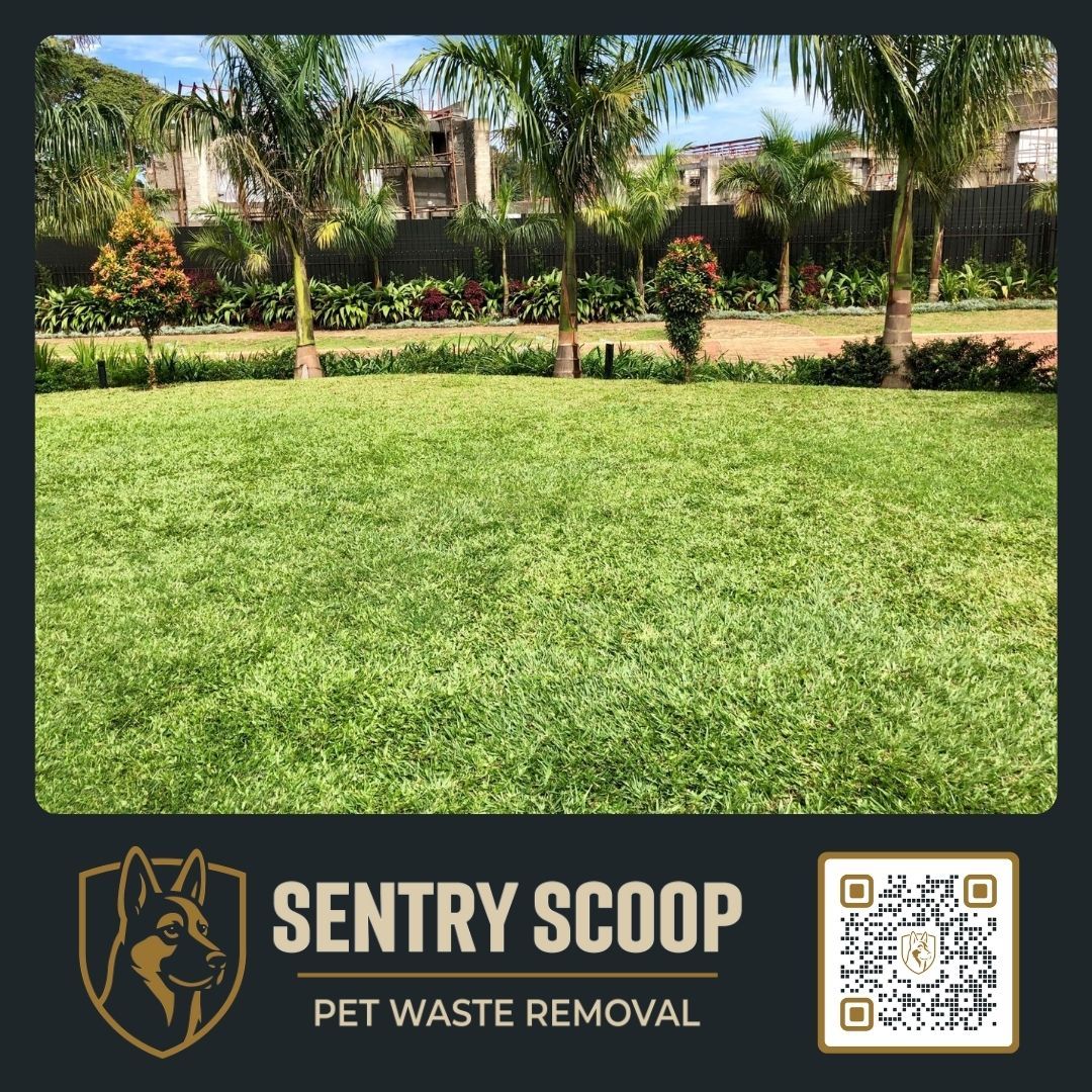 Sentry Scoop clean lawn after pet waste removal services