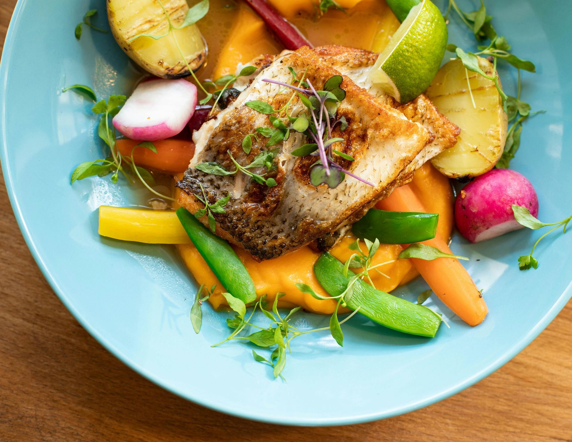 Seared fish with colorful vegetables and herbs on a blue plate