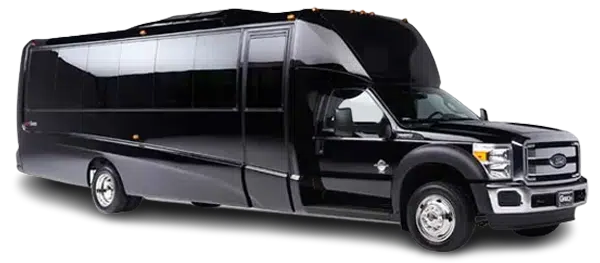   Luxury Mini Bus — photo 1