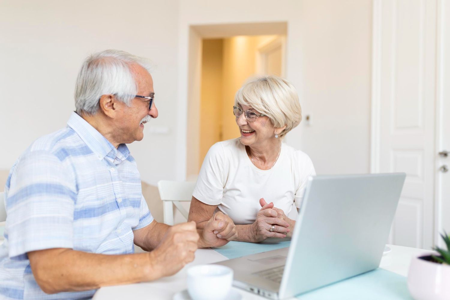 Elderly couple smiles, looking at laptop, indoors.