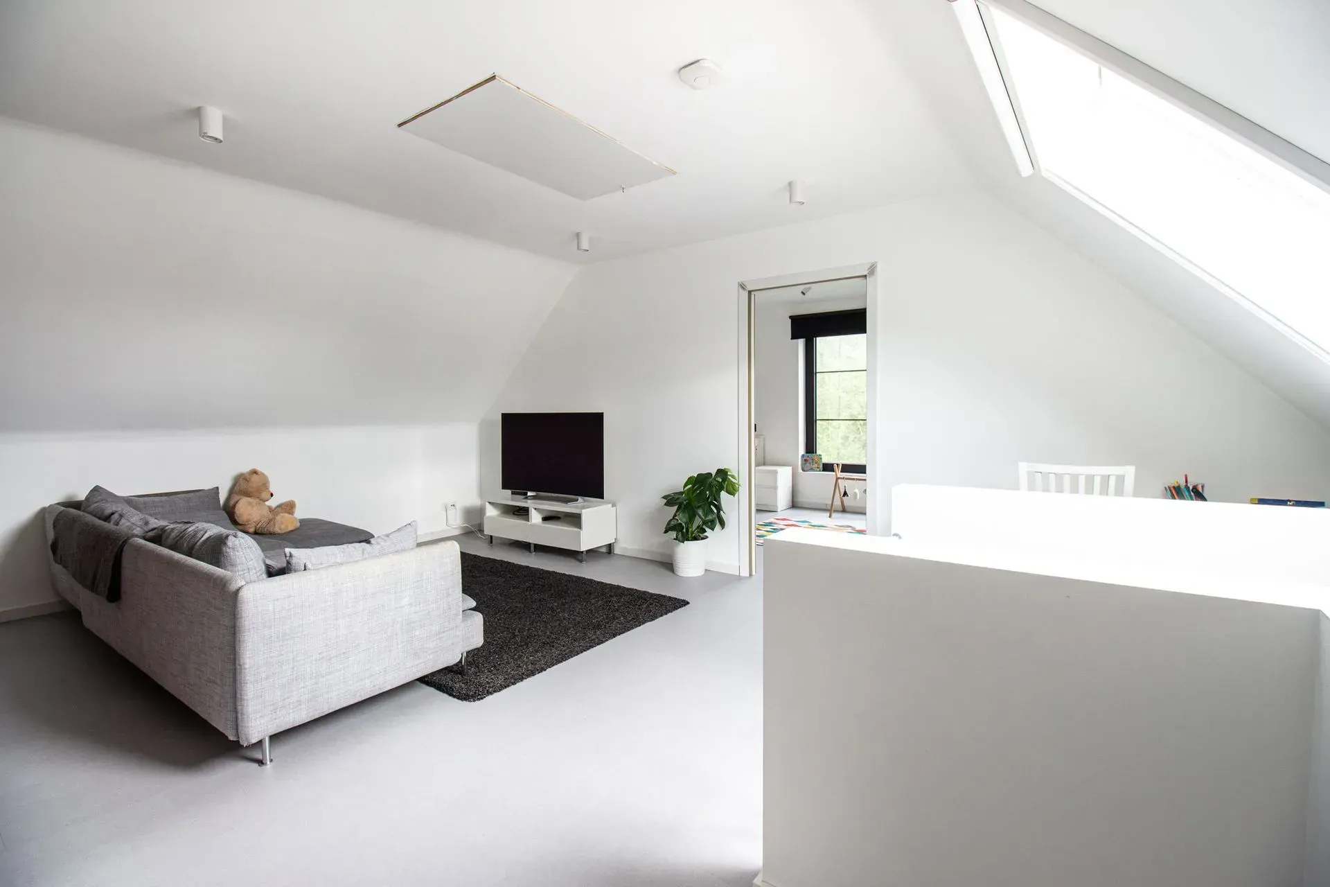Woonkamer op zolder met witte muren, een grijze bank, tv en donker tapijt. Helder licht door een dakraam.
