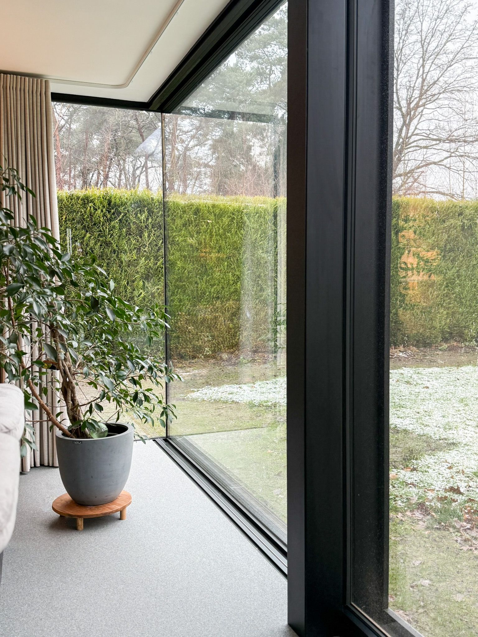 Modern kamerinterieur met kamerhoge ramen, potplant en uitzicht op een groene heg en tuin.