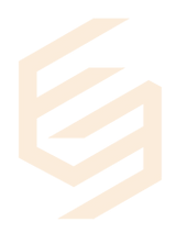 Peach geometric logo with an angular stylized letter E on a white background