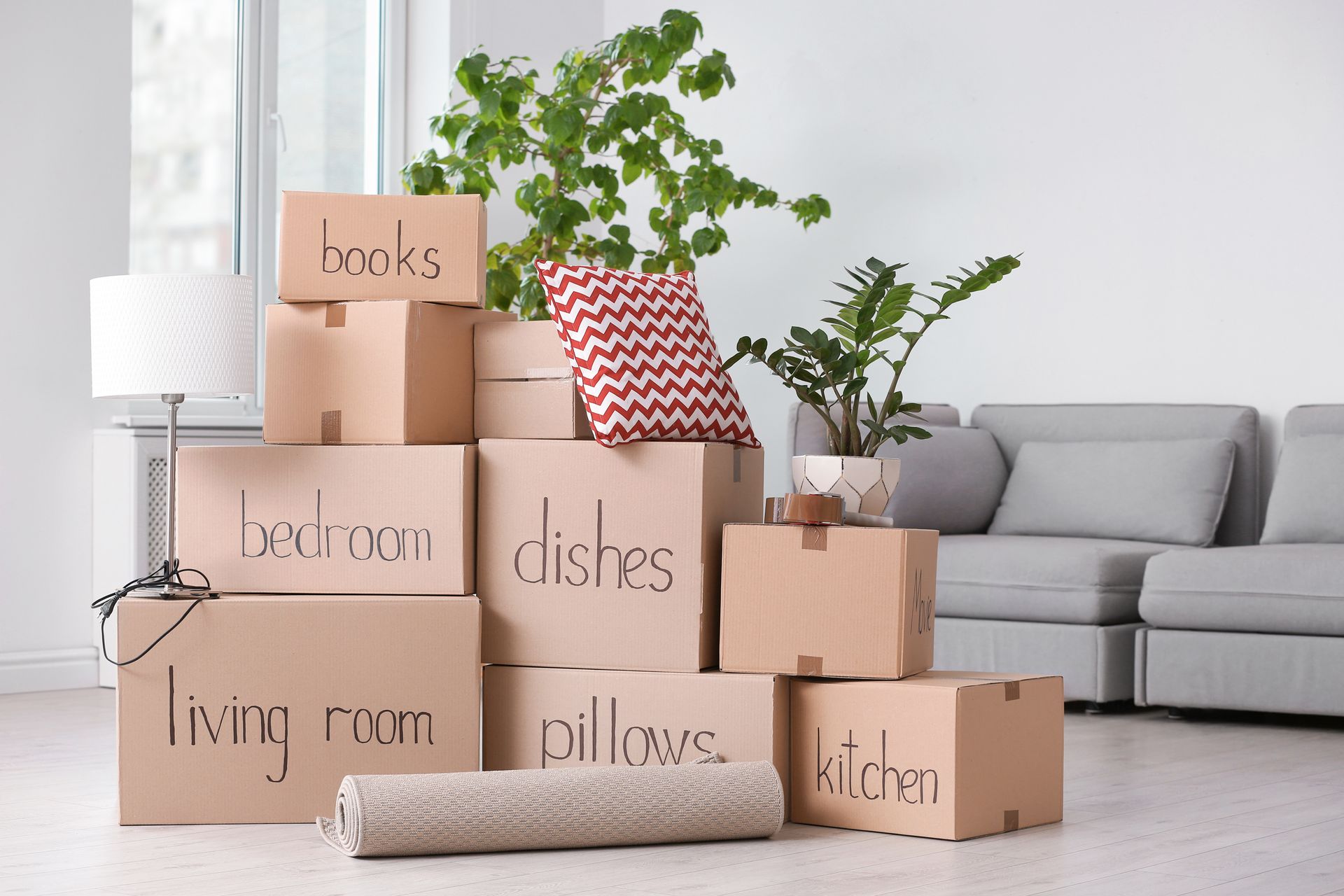 A pile of cardboard boxes with words of household stuff on them, plants, and a sofa in a living room.