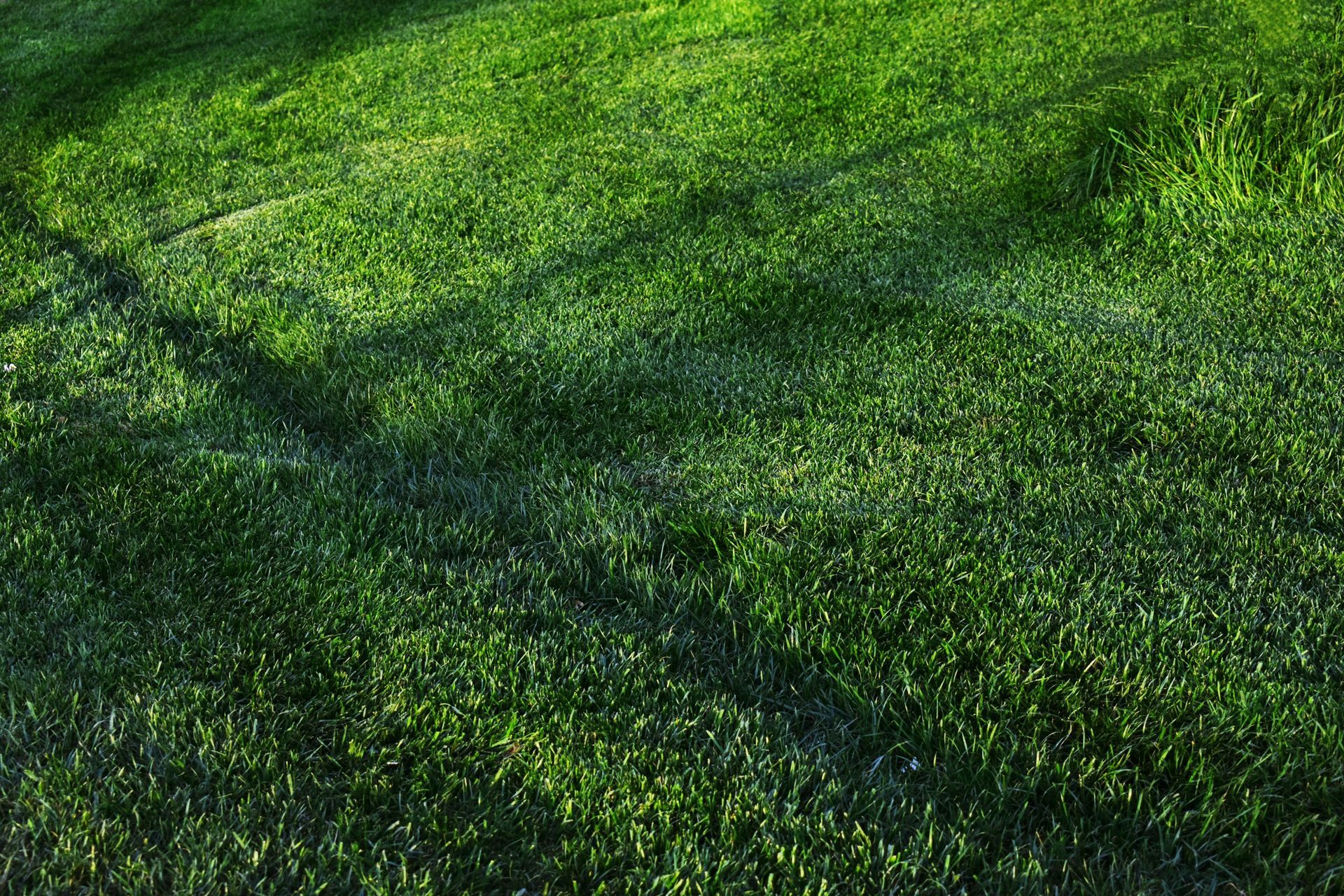 Mowing
