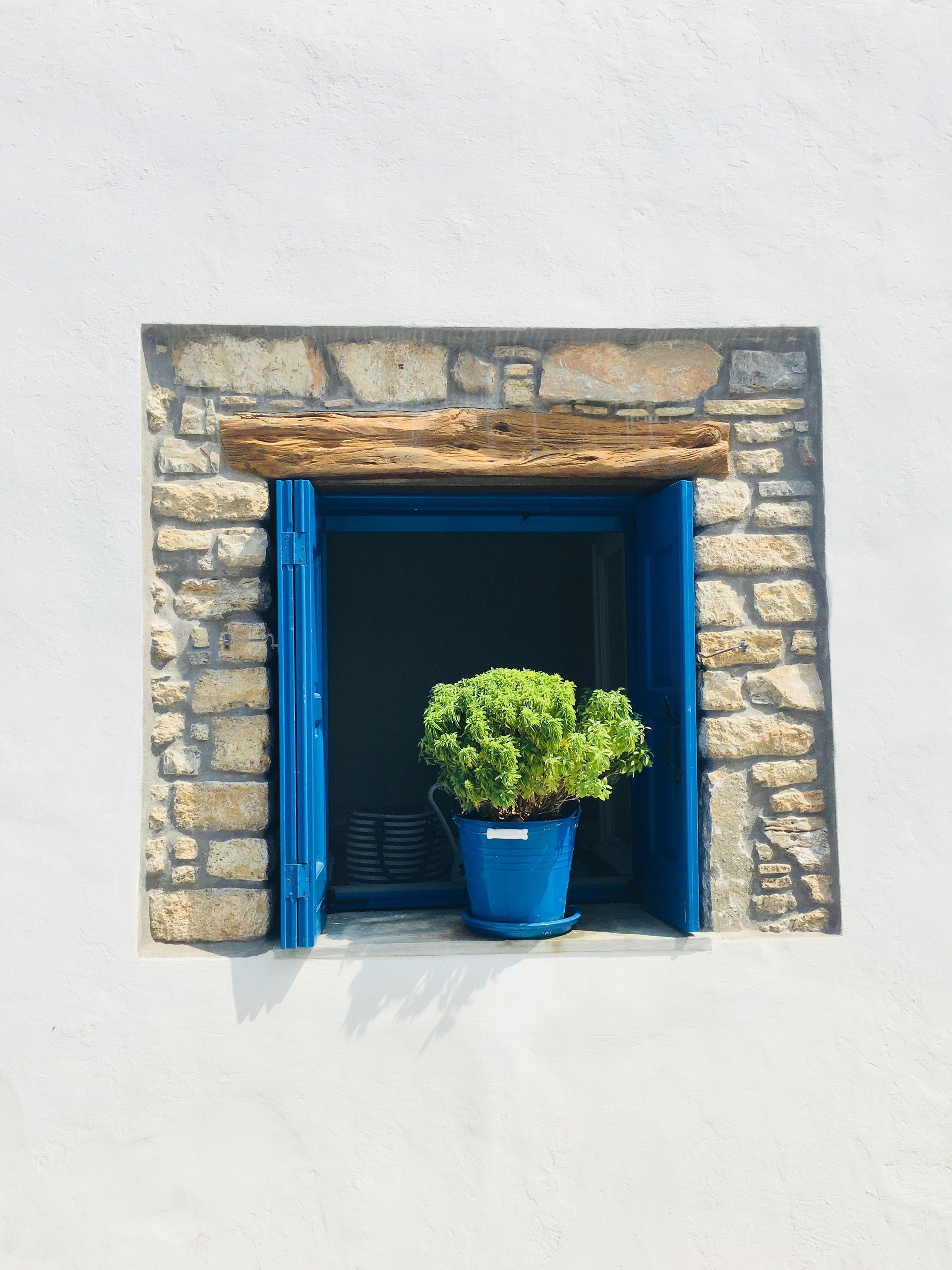 Small stone-framed window with a blue pot of green plants in a dark interior with blue trim