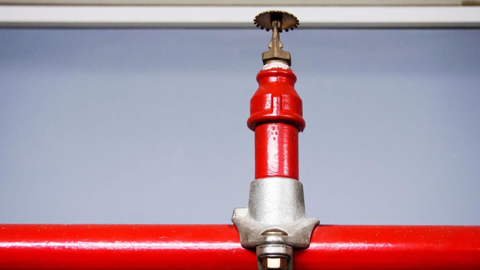 fire suppression equipment Red fire sprinkler head attached to a red pipe, mounted on a gray wall.