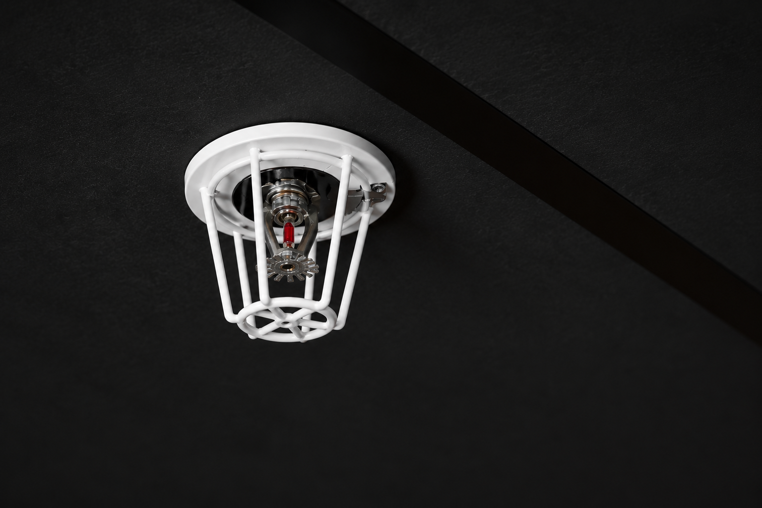 fire head guard White fire head guard over a sprinkler mounted on a dark ceiling.