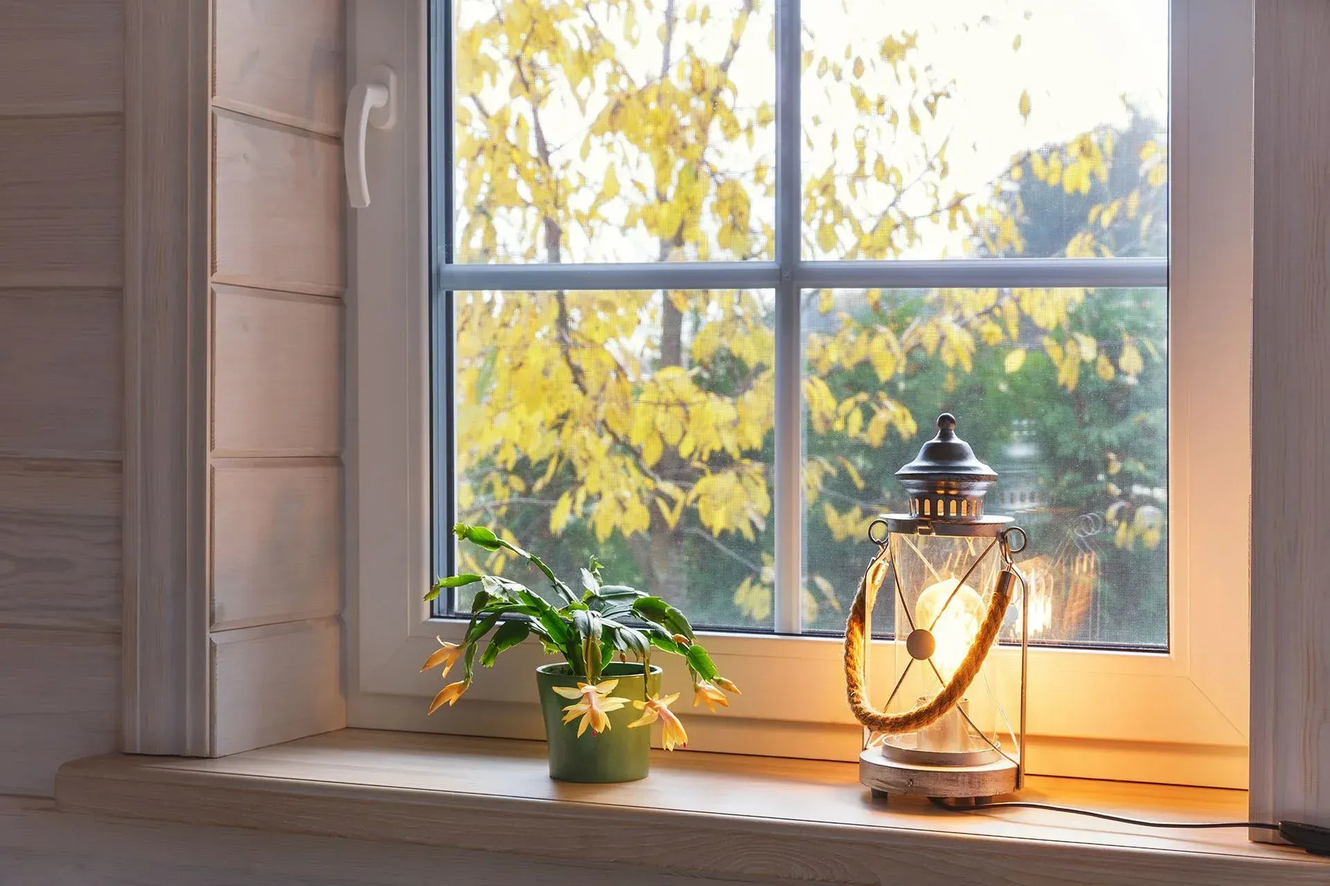 glass window