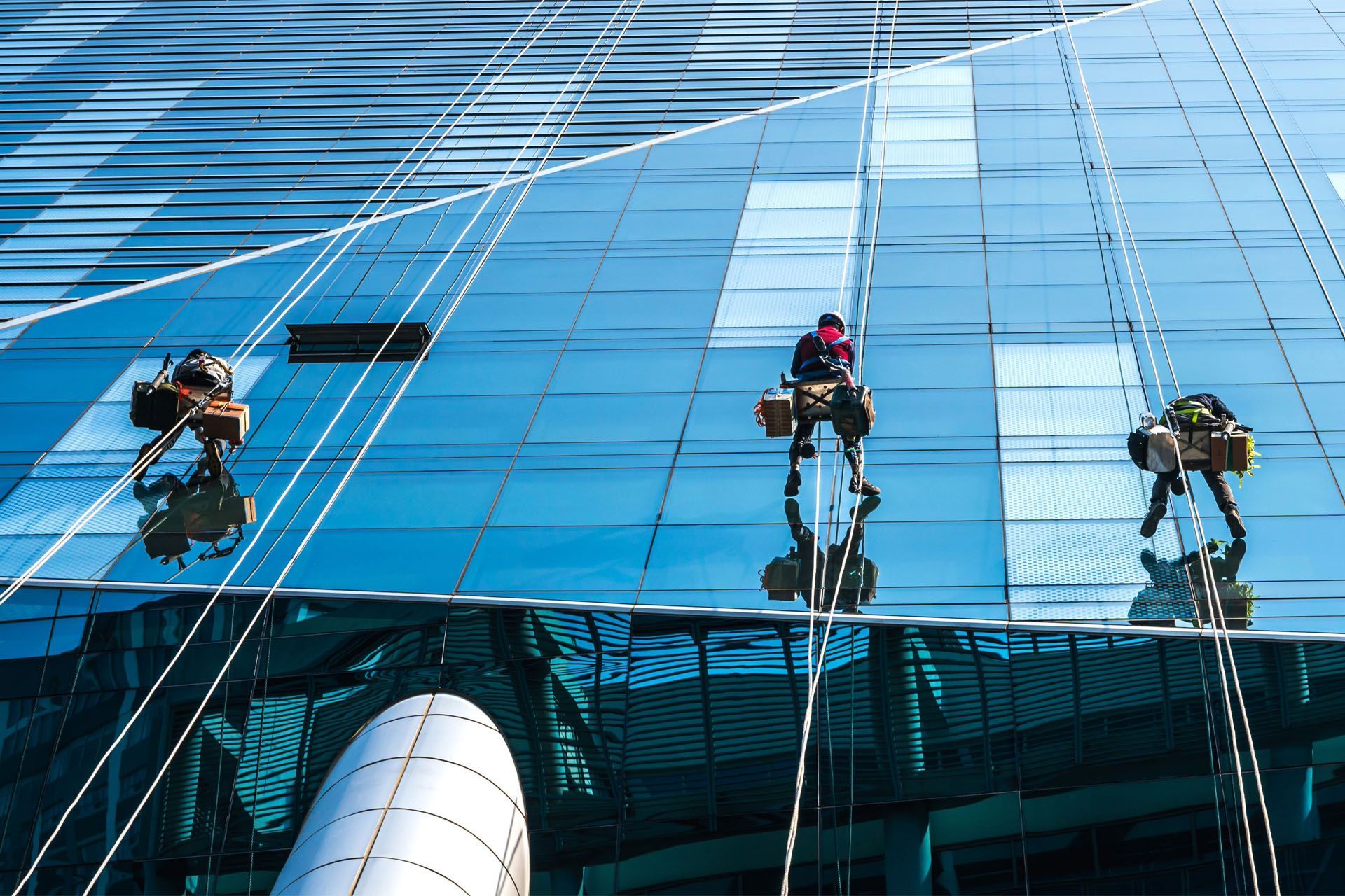 A group of people are cleaning the windows of a tall building.