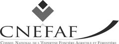 Logo du CNEFAF