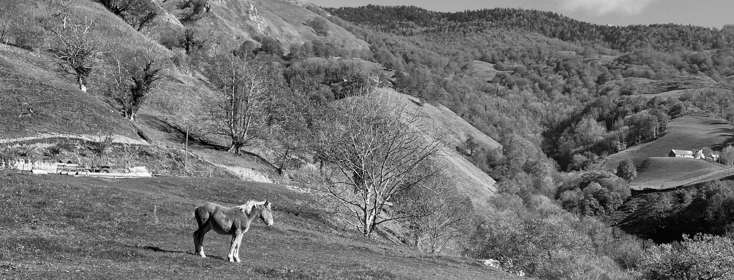 Photographie de l'arrière pays en Soule, Pays Basque