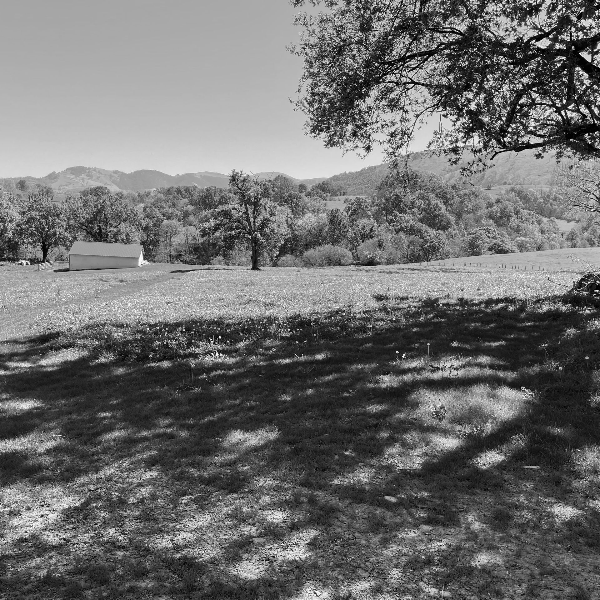 Photographie d'une large étendue de terre d'une prairie d'exploitation d'élevage