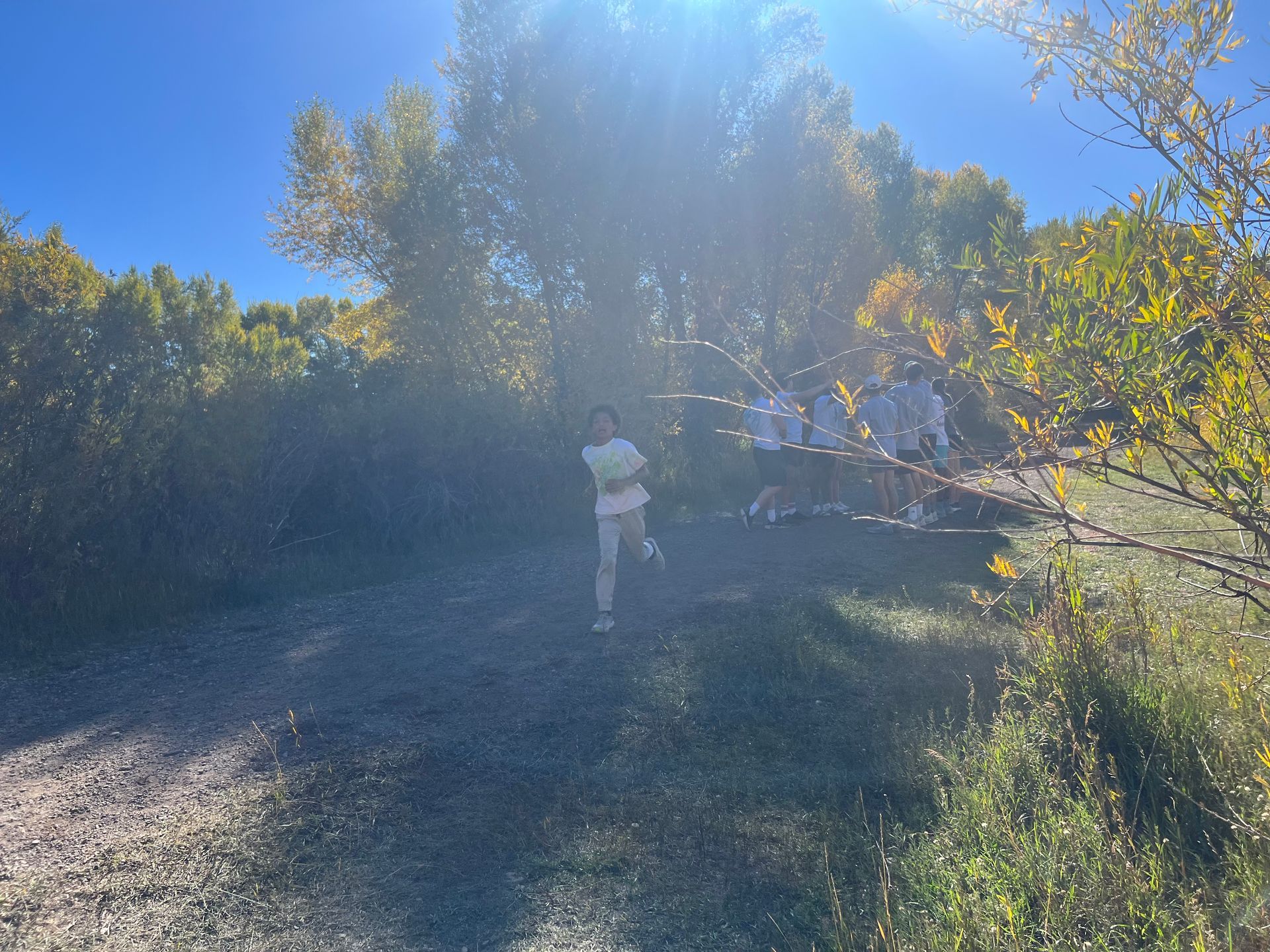 Person running on a dirt path, sunlight through trees in the background.