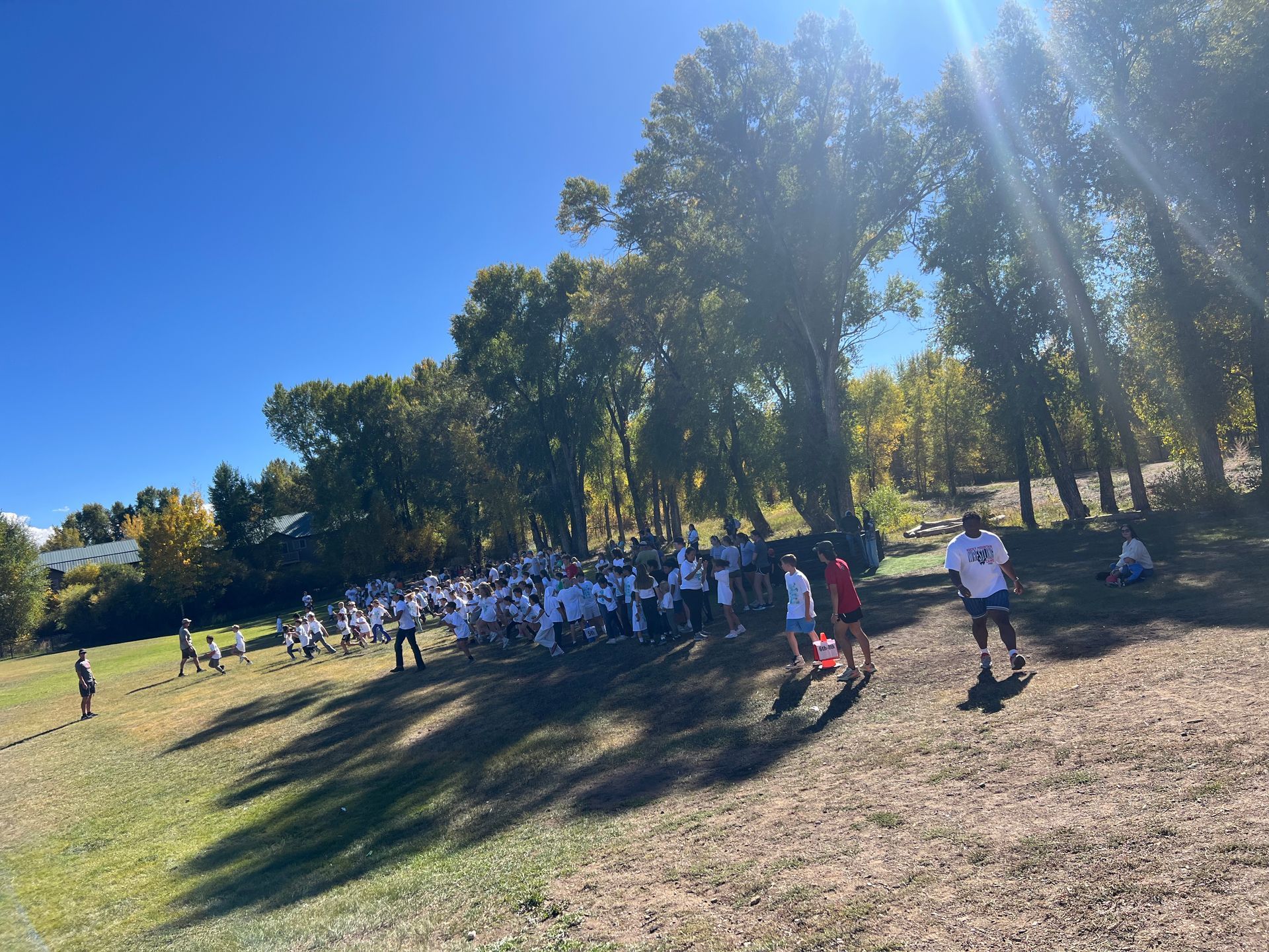 Group of people gathered on a grassy hill under trees on a sunny day.