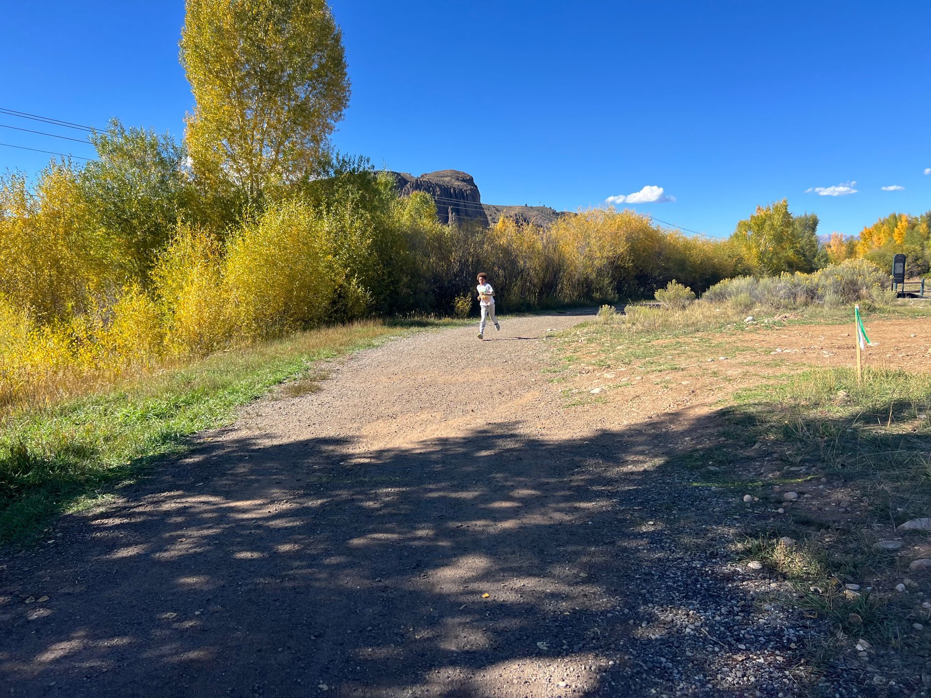 Person on a gravel path near trees with yellow leaves under a blue sky.