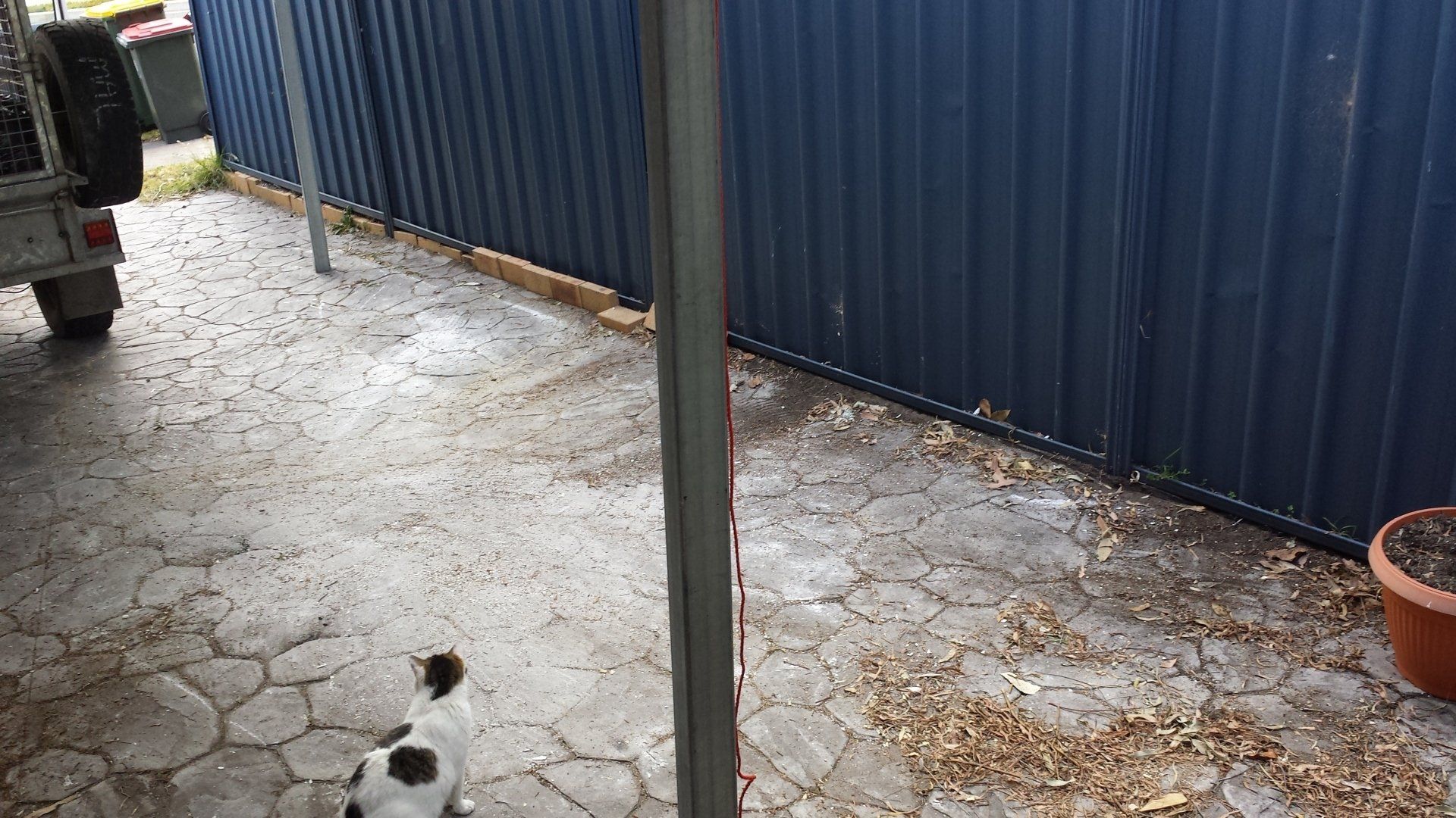 Home Rubbish Collection After — Newcastle, NSW — Abate Rubbish Removal