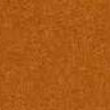 Solid, textured burnt orange background.