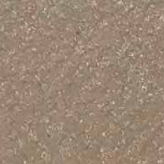 Light brown speckled surface, possibly pavement or ground.
