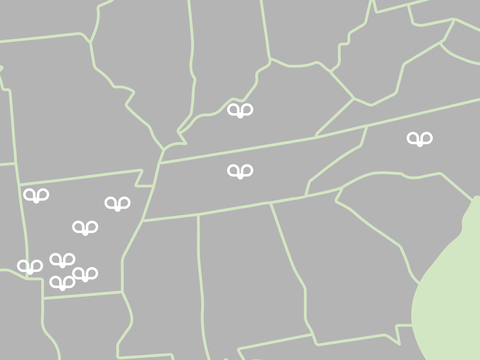 Map with gray land parcels outlined in white and several small green markers clustered in areas