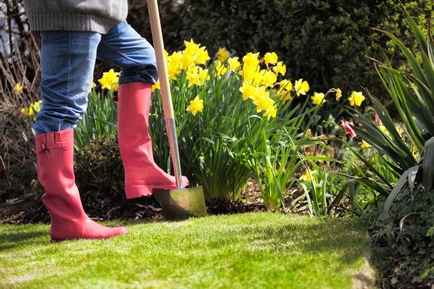 Man using a spade in the garden