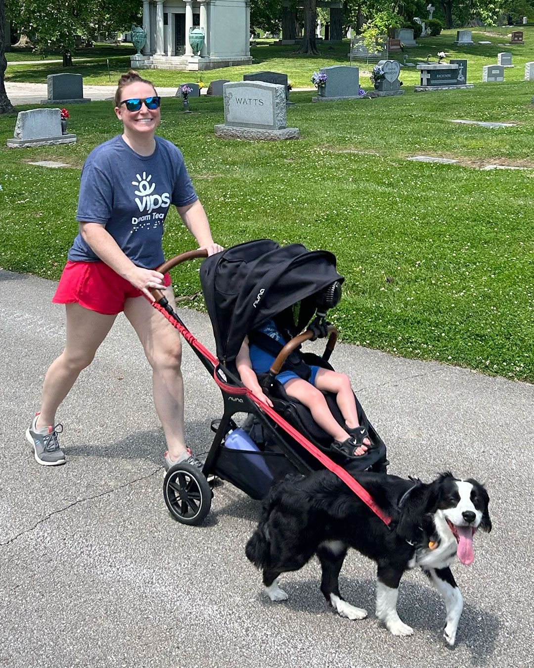 A woman pushing a stroller with a dog on a leash during Walking for Dreams.
