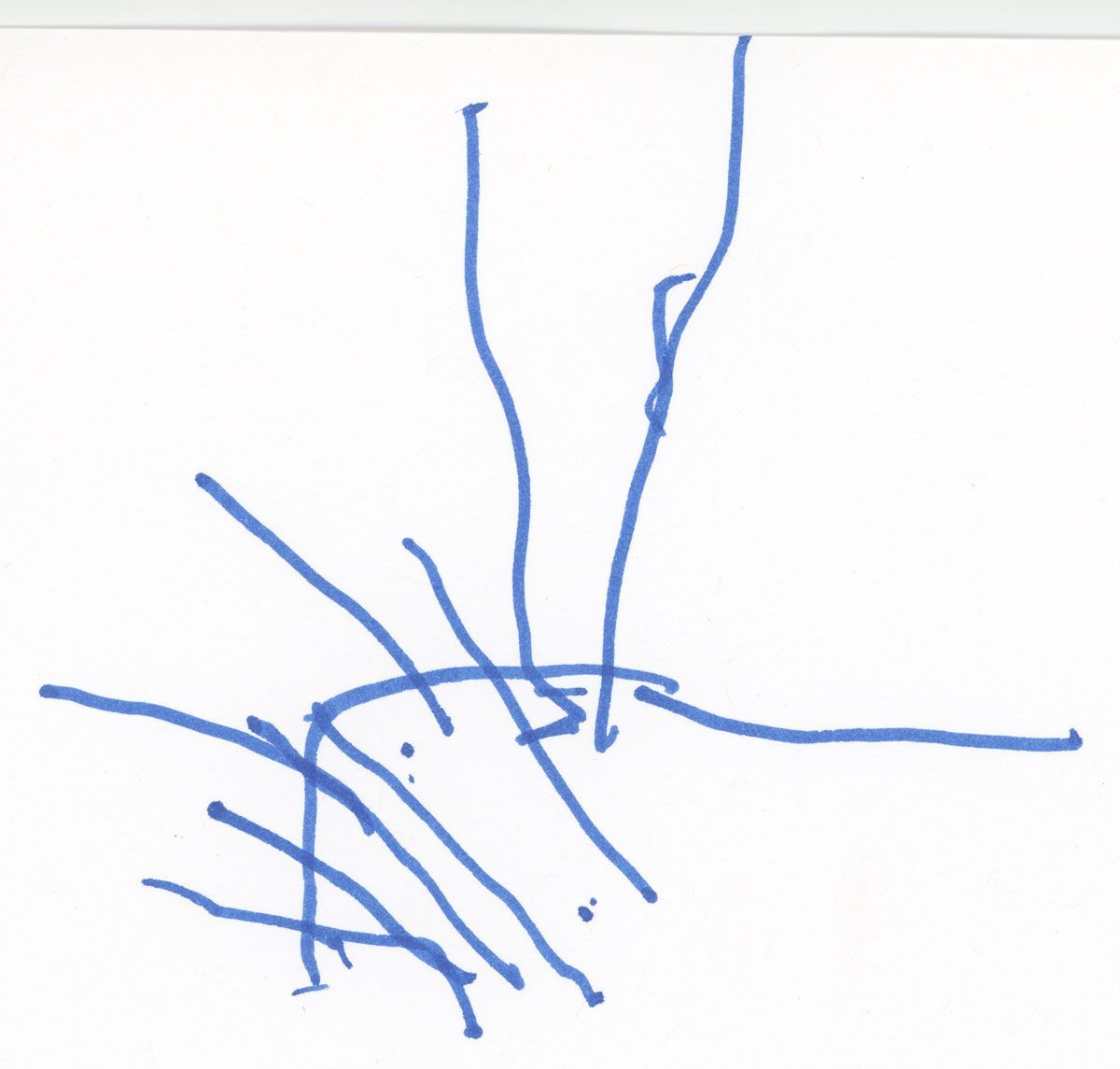 A child-drawn snowflake made with blue marker and lots of straight lines connected with a semicircle.