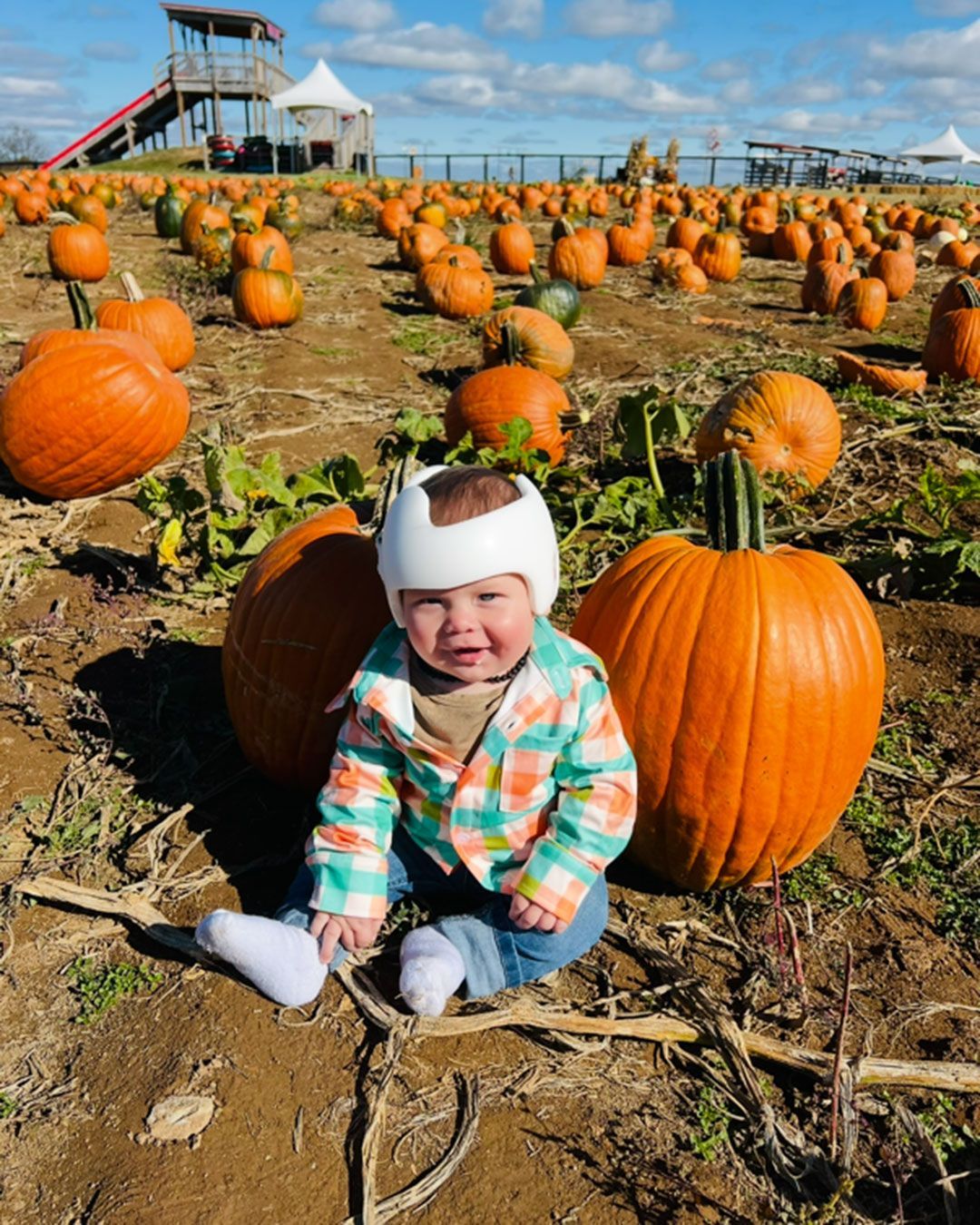 Wilder, wearing a cranial helmet, sits in a pumpkin patch.