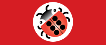 braille-bug_lg