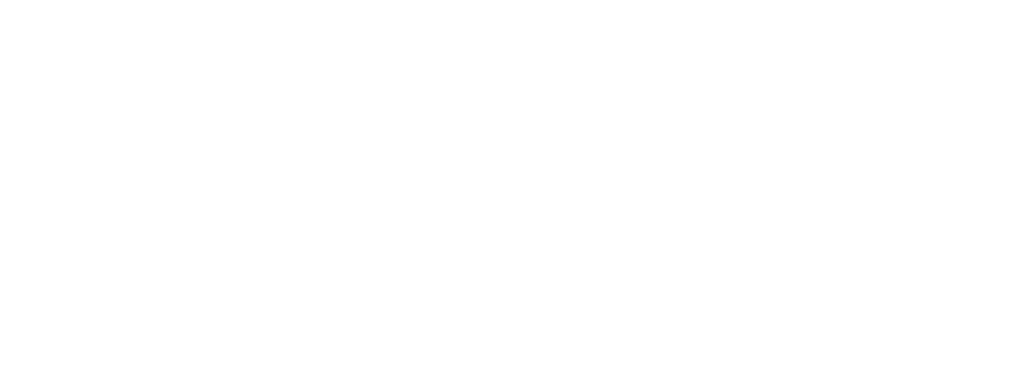 logo-image