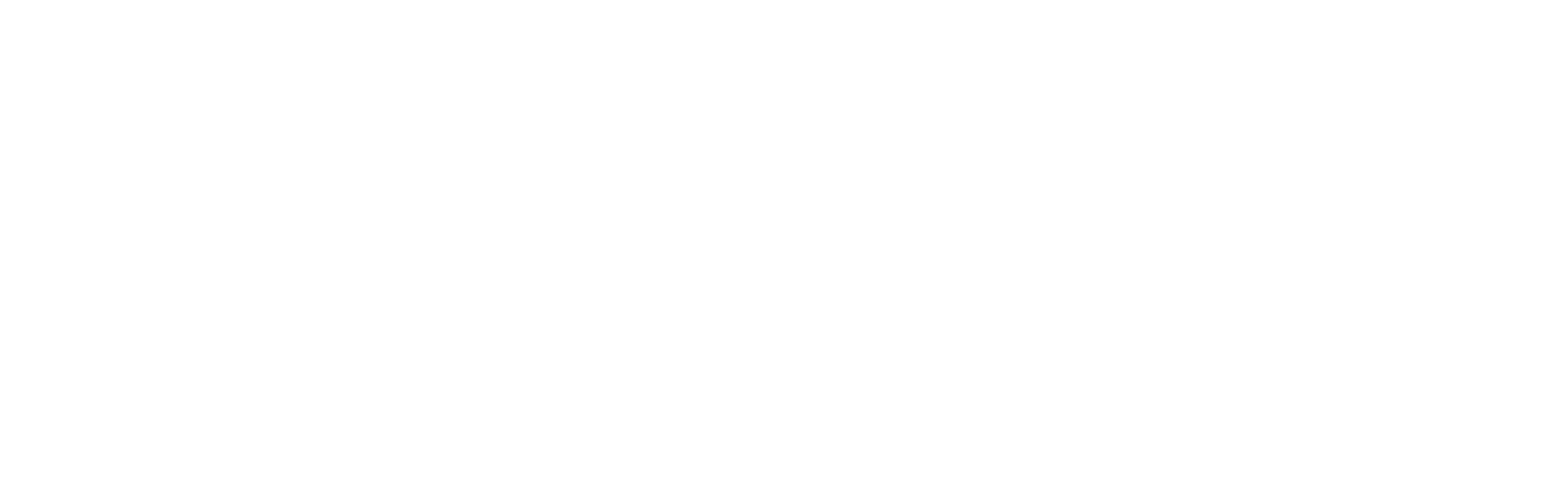 The Mane Solution