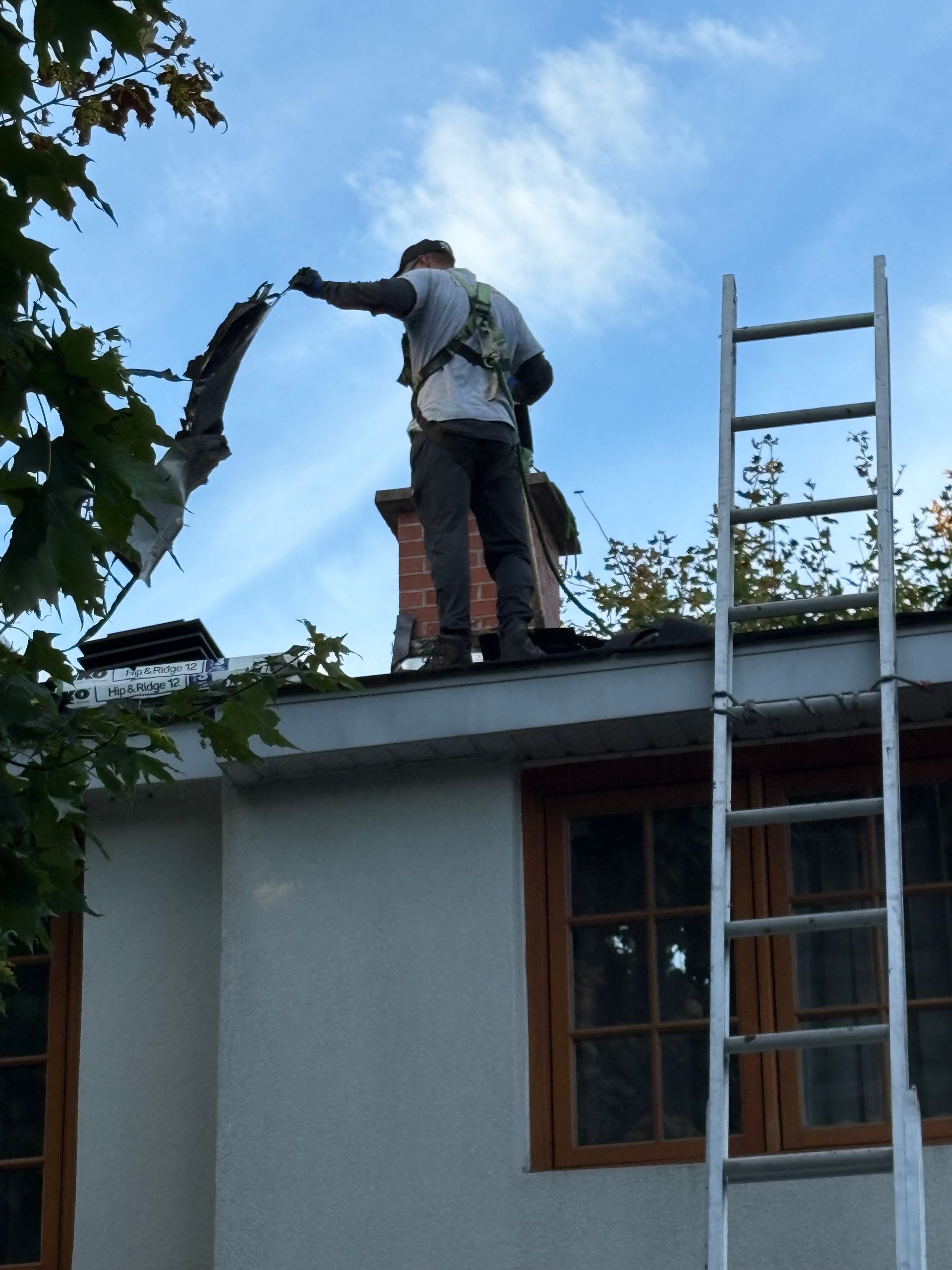 Une personne debout sur un toit coupe des branches d'arbre à côté d'une échelle et d'une fenêtre