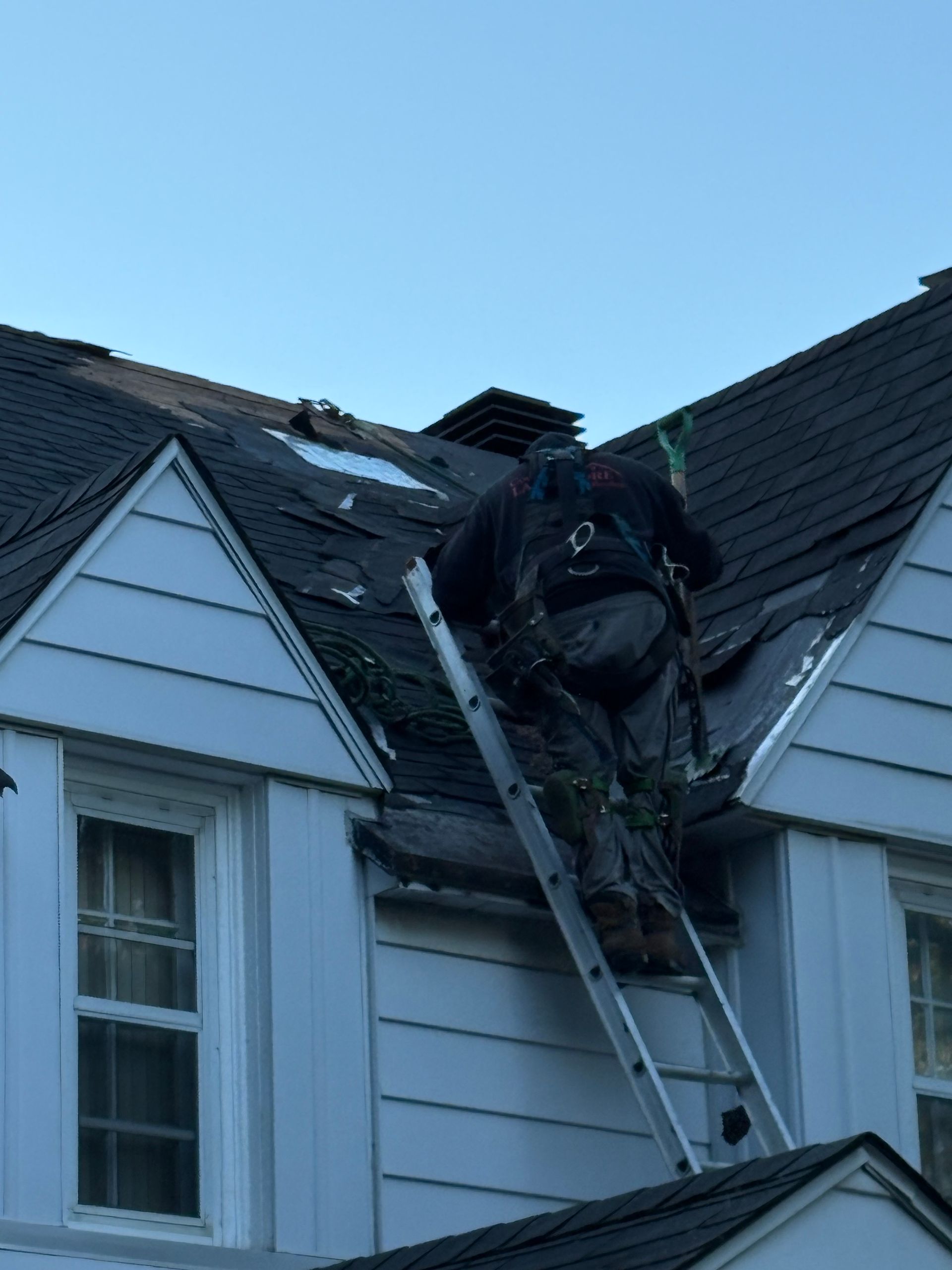 Un ouvrier sur un toit utilise une échelle à côté de bardeaux apparents et d'un revêtement bleu de maison.