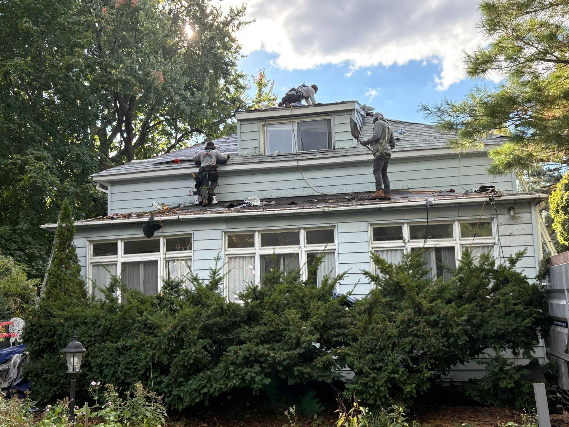 Des ouvriers réparent les tuiles d'une maison blanche au milieu d'arbres et de buissons verdoyants.
