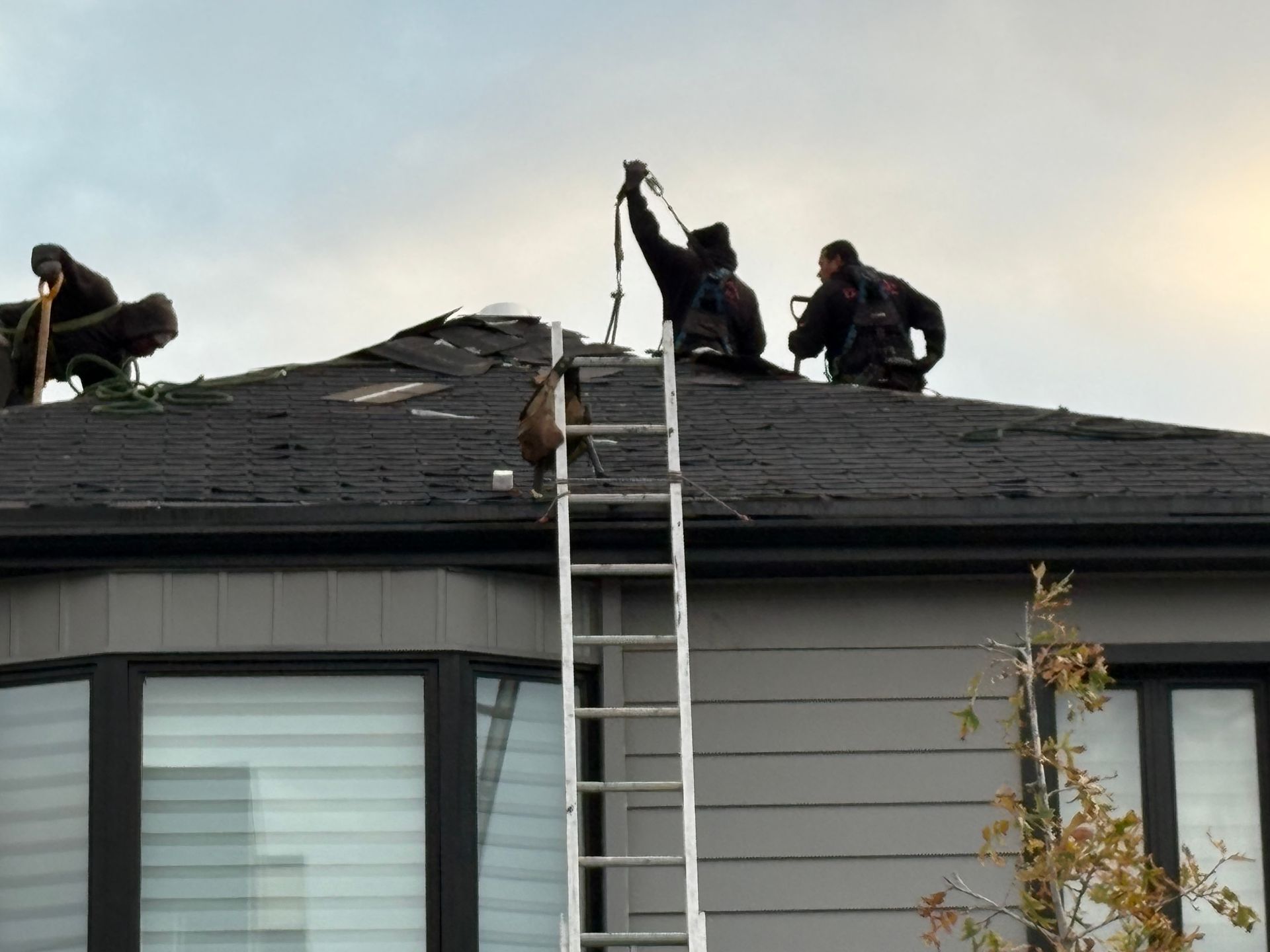 Three workers repairing a dark roof with a ladder on a house