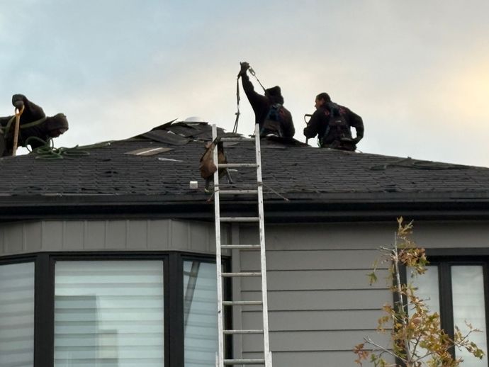 Three workers repairing a dark roof with a ladder on a house