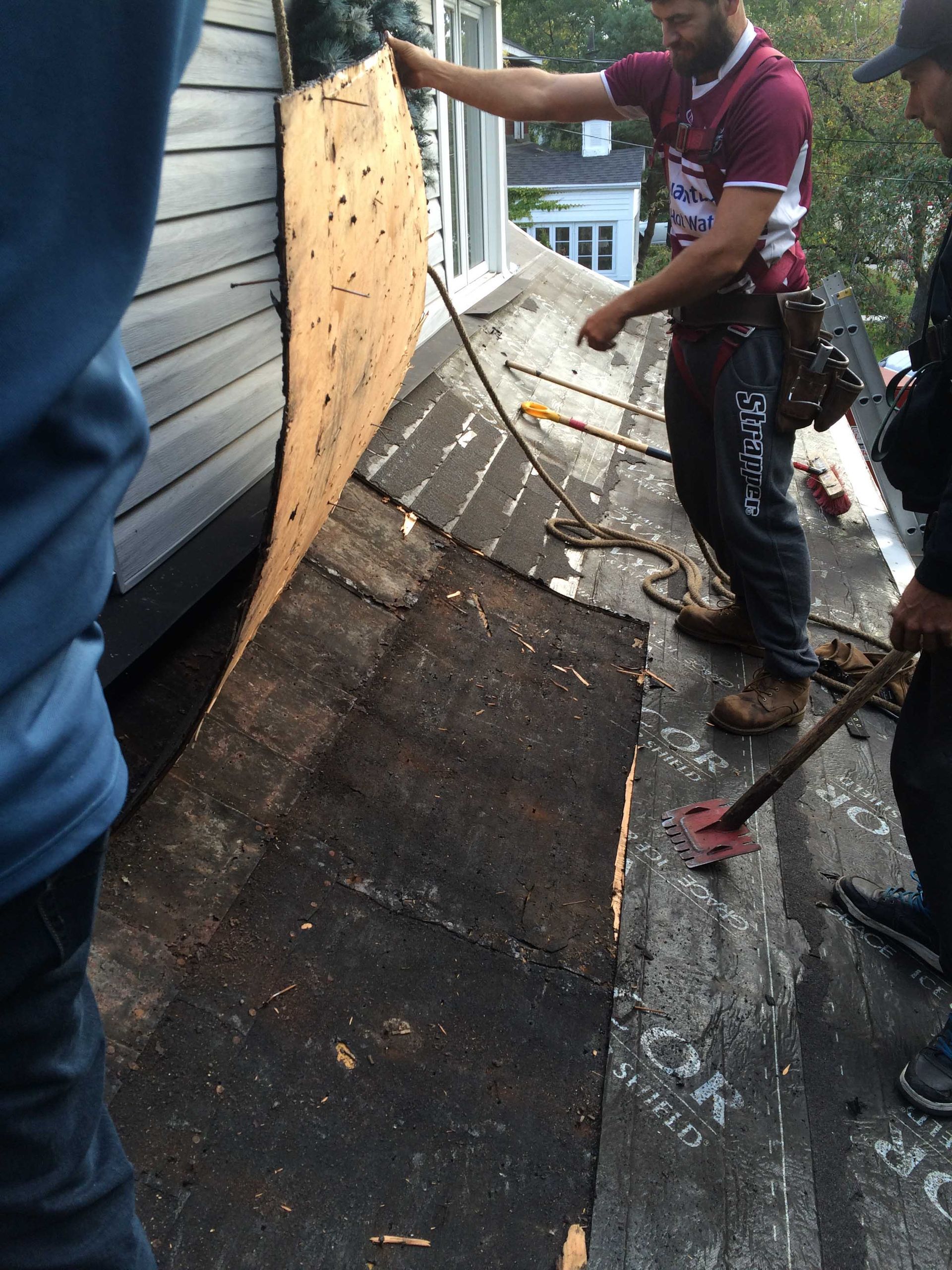 Des ouvriers soulèvent une grande plaque de bardeaux contre la ligne de toit extérieure d'une maison