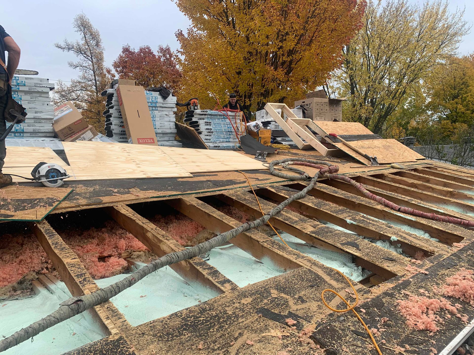 Structure en bois effondrée, poutres brisées et débris éparpillés dans un espace vert sous des arbres d'automne