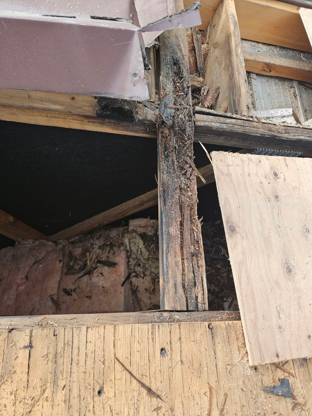 Ossature murale endommagée avec bois apparent, cavité noire et contreplaqué qui se décolle dans un intérieur partiellement effondré.