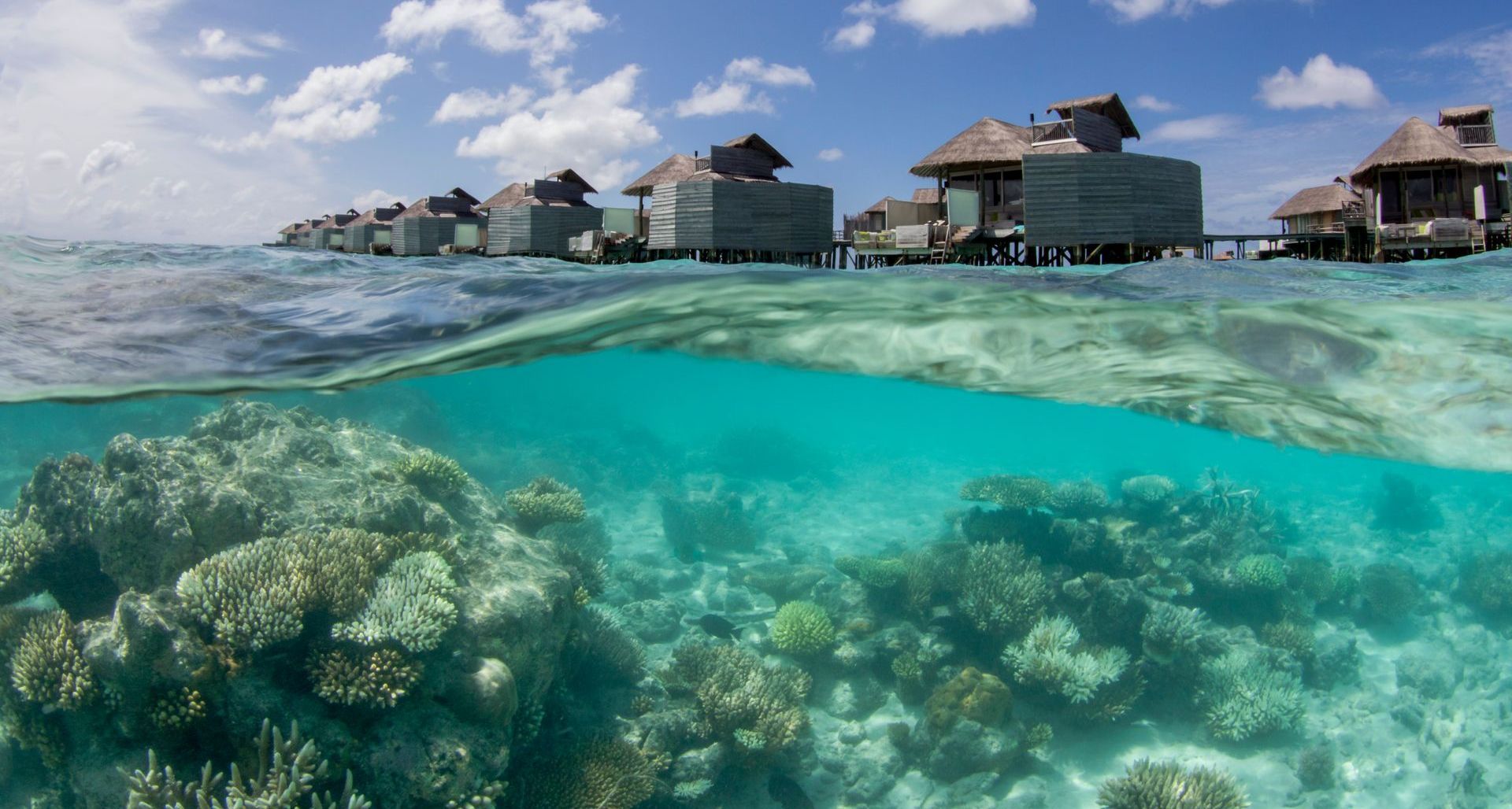 A coral reef with a row of bungalows in the background