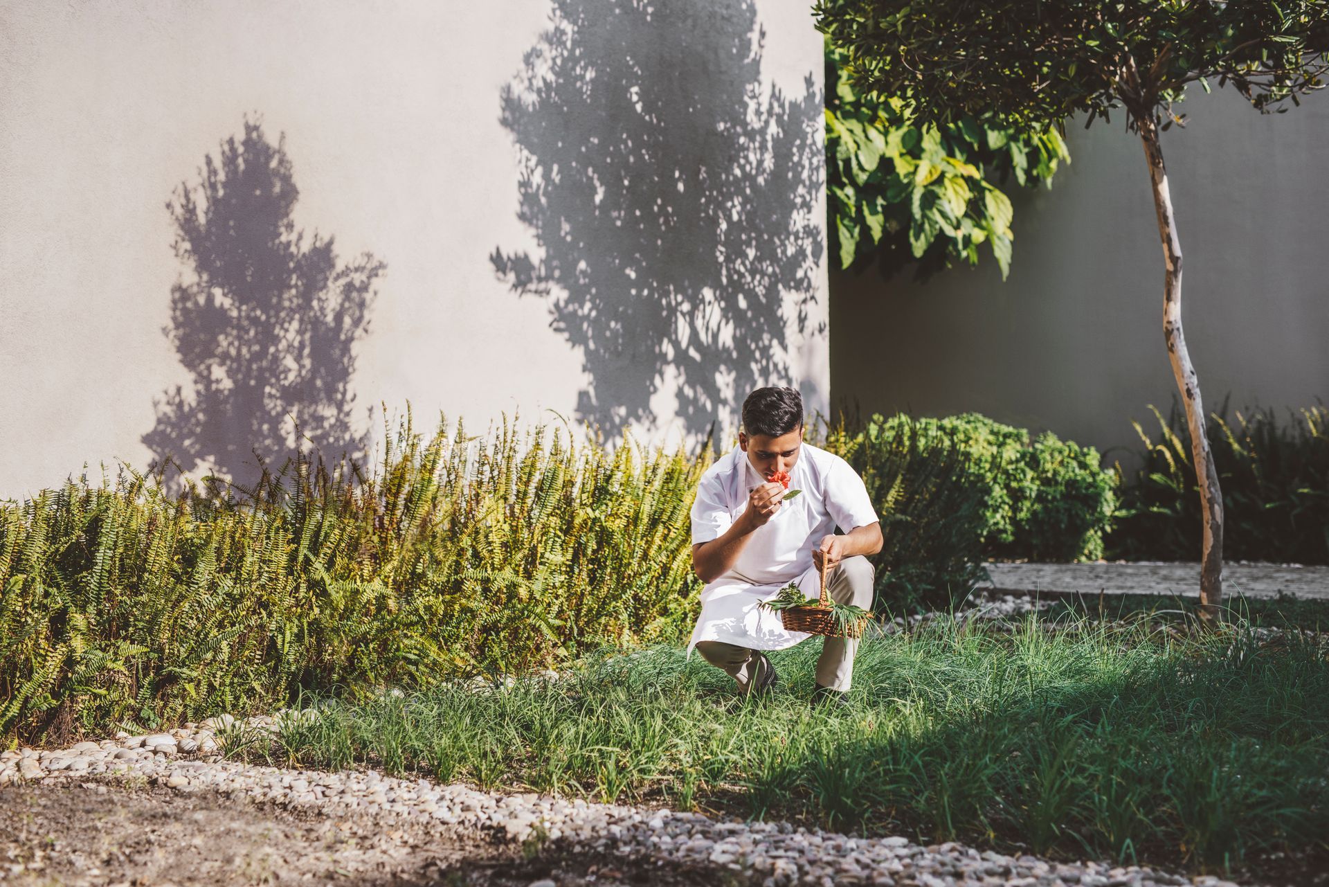 A man is sitting in the grass reading a book.