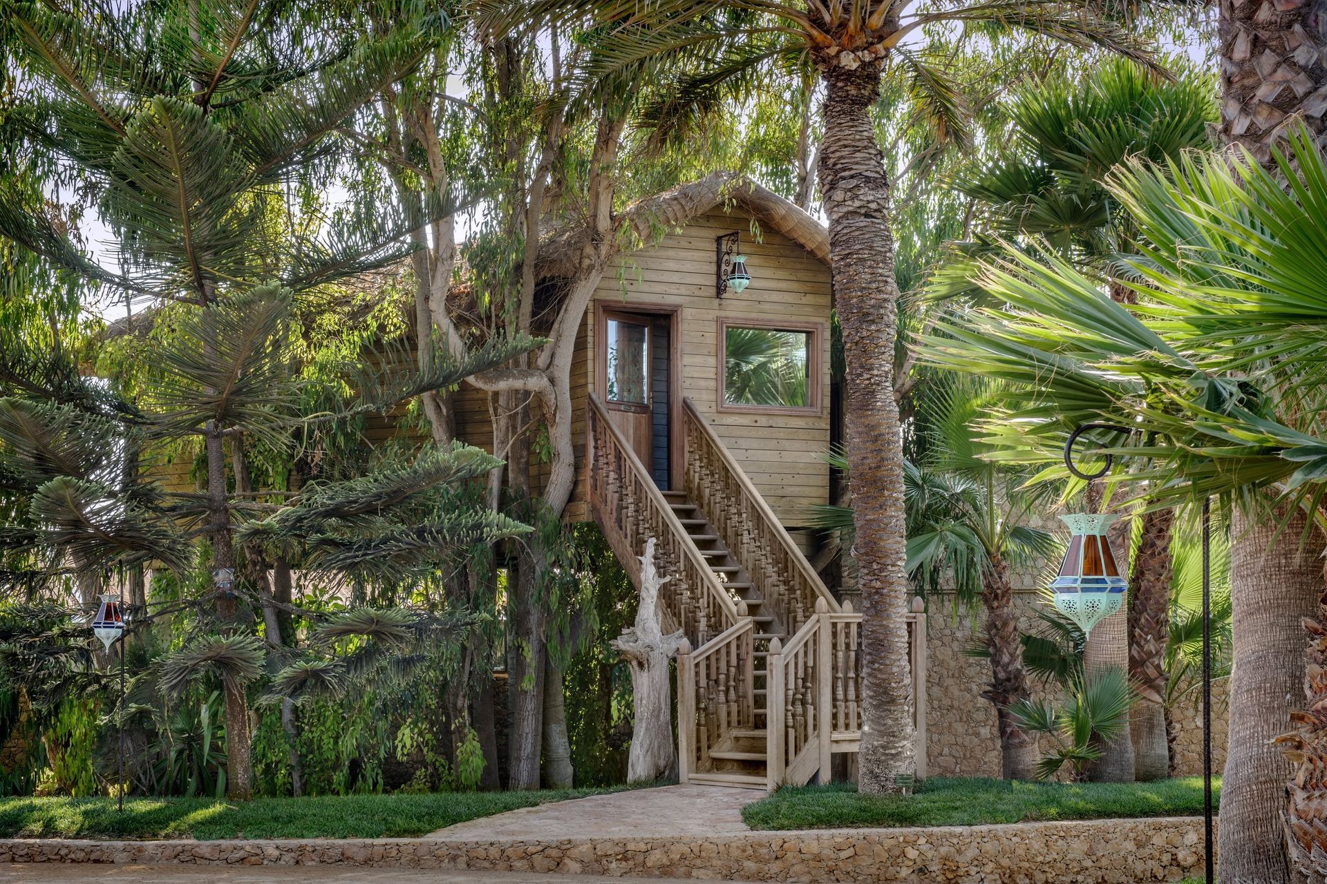 Treehouse cabin among tall trees with a wooden staircase and railing in a wooded setting