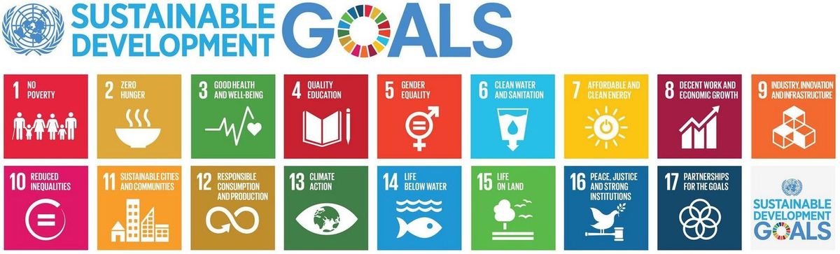 A set of sustainable development goals with icons on them