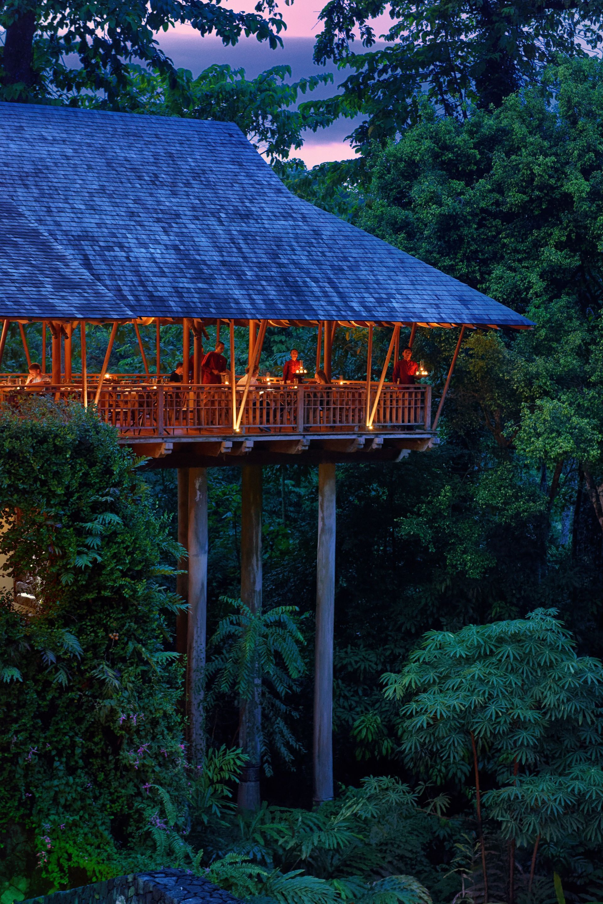 A restaurant on stilts in the middle of a forest